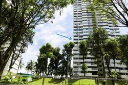Braddell View (D20), Apartment #474671671